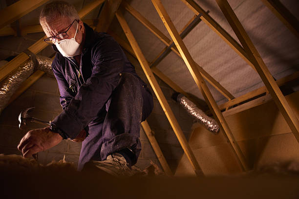 Best Insulation Maintenance and Repair in New Franklin, OH