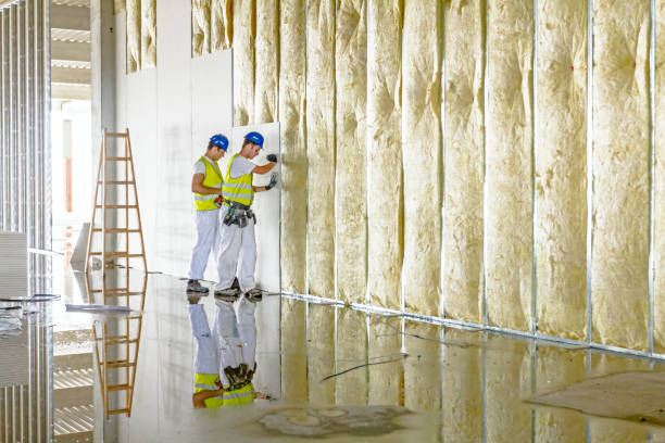 Best Insulation Maintenance and Repair in New Franklin, OH